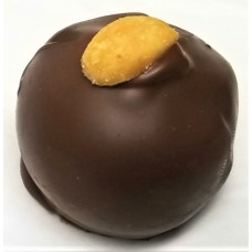 Peanut Butter Chocolate Truffle (hand-made)